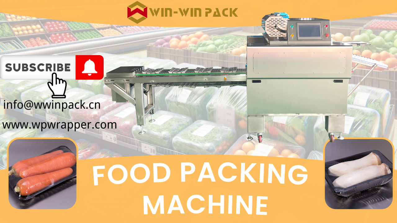  WIN-WIN PACK fully automatic coconut food wrapping machine