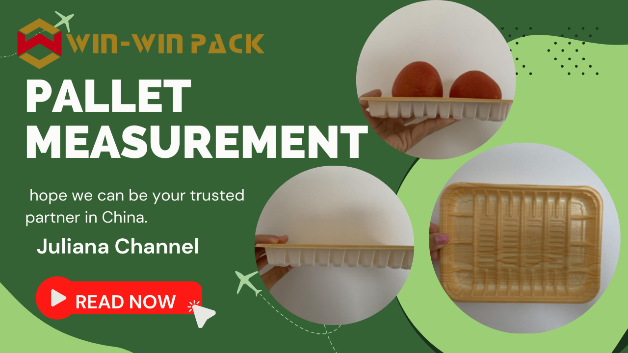 WIN-WIN PACK Measure the Size of Tray for Food Wrapping Machine