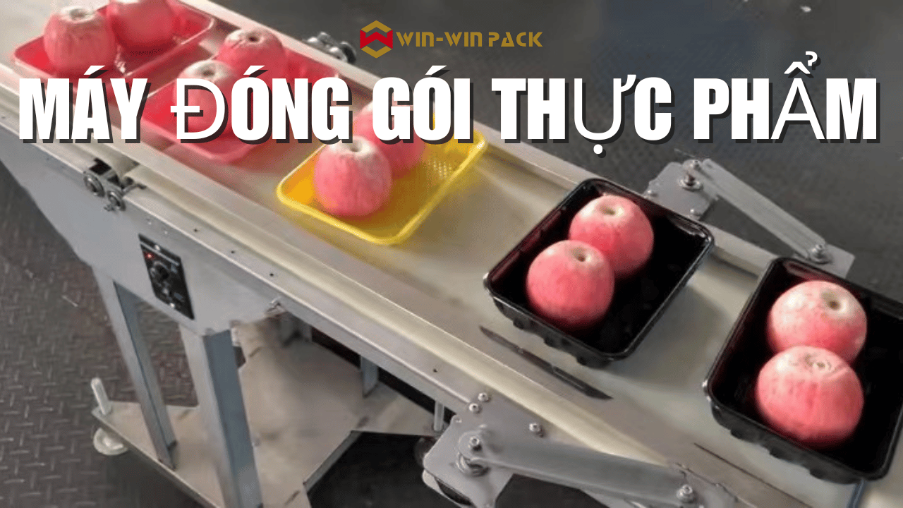 Các Chức Năng Chính của Máy Đóng Gói Thực Phẩm và Tầm Quan Trọng của Chúng