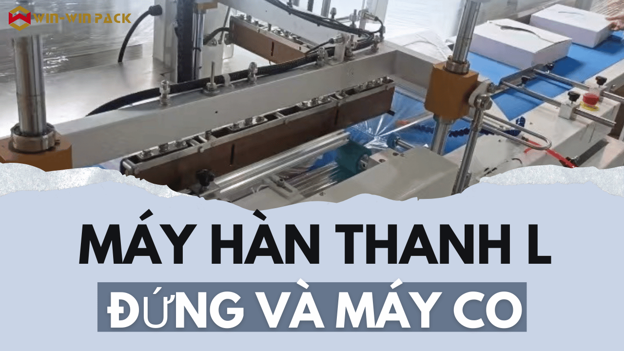 Máy Niêm Phong và Co Bọc Tự Động: Giải Pháp Tối Ưu Cho Việc Đóng Gói Thùng Carton Lớn