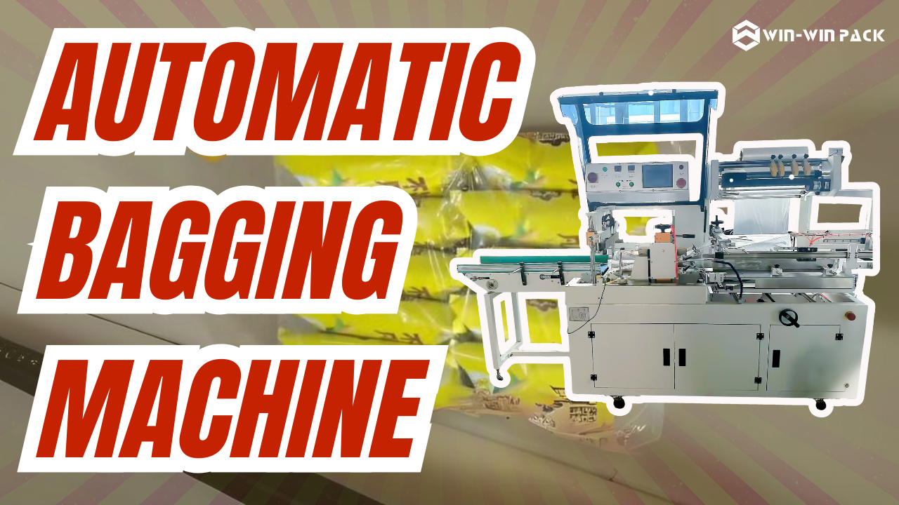 WIN-WIN PACK Automatic Sorting and Bagging Machine for Efficient Packaging Operations