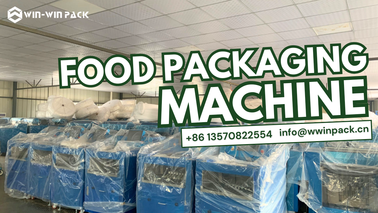 Why Choose the Fully Automatic Food Packaging Machine?