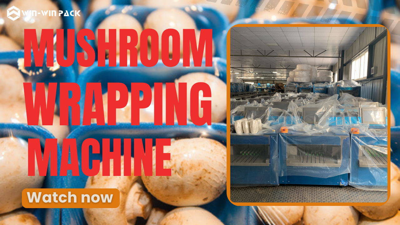 WIN-WIN PACK High-Efficiency Mushroom Packaging Production System